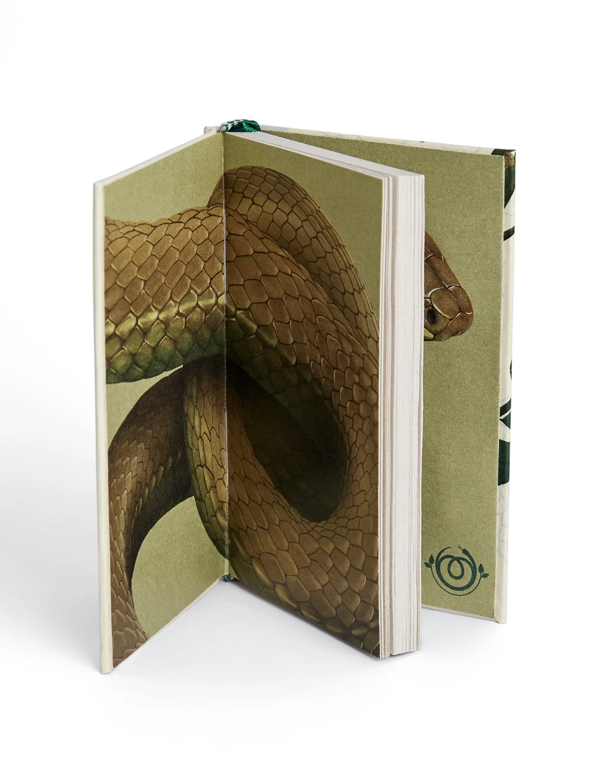 Libreta Mastigodryas abierta